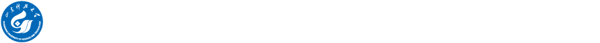 色情小说